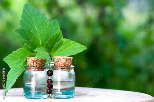 Bottles with blackcurrant oil, fresh berries and  leaves on a natural green background,  bio, organic , nature cosmetics concept