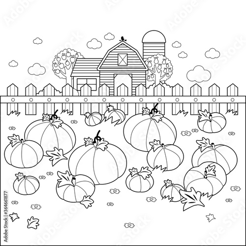 Landscape with a pumpkin field and a farmhouse. Vector black and white coloring page