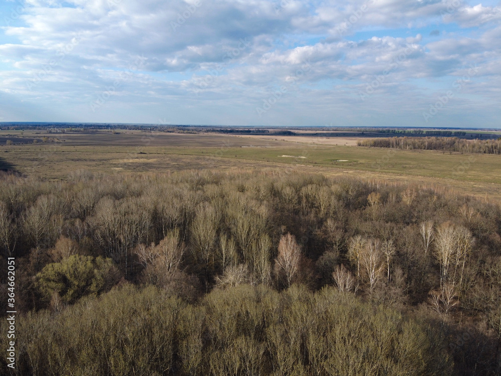 Leafless spring forest, aerial view. Forest terrain.