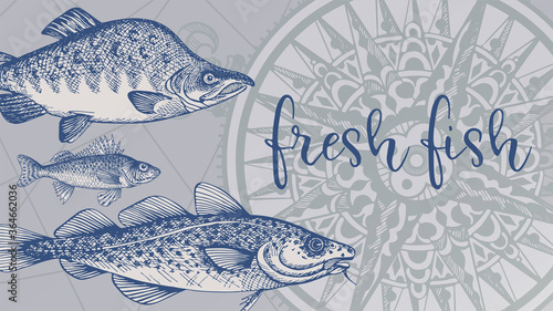 Fsh, seafood, flounder, stingray, salmon, smelt, roach, compass, old wind rose Doodles design elements business cards, banners, menu