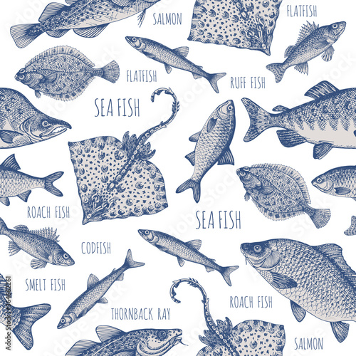 Ruff, thornback ray, carp, salmon, roach, cod, smelt, plaice. Sea fish. Fish and seafood products.