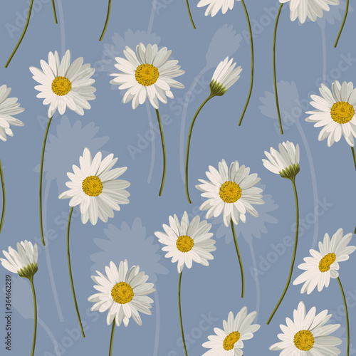 Seamless pattern with white daisies on blue background. Vector illustration