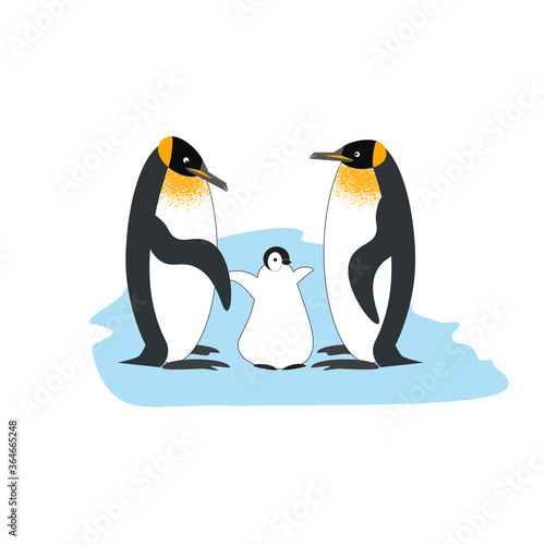 A family of Royal penguins with a baby penguin on an ice floe. Vector illustration of characters isolated on a white background.