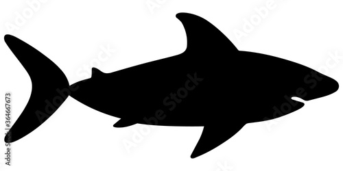 Shark. Large predatory sea fish. Silhouette. Vector stock illustration. White isolated background. Flat style. Underwater monster with toothy jaw. World Oceans Day. Dangerous inhabitant of the depths.