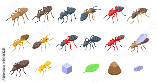 Ant icons set. Isometric set of ant vector icons for web design isolated on white background