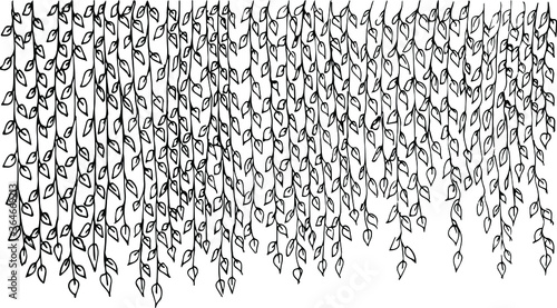 Drawing of hanging branches of ivy. A lot of ivy creepers with leaves.
