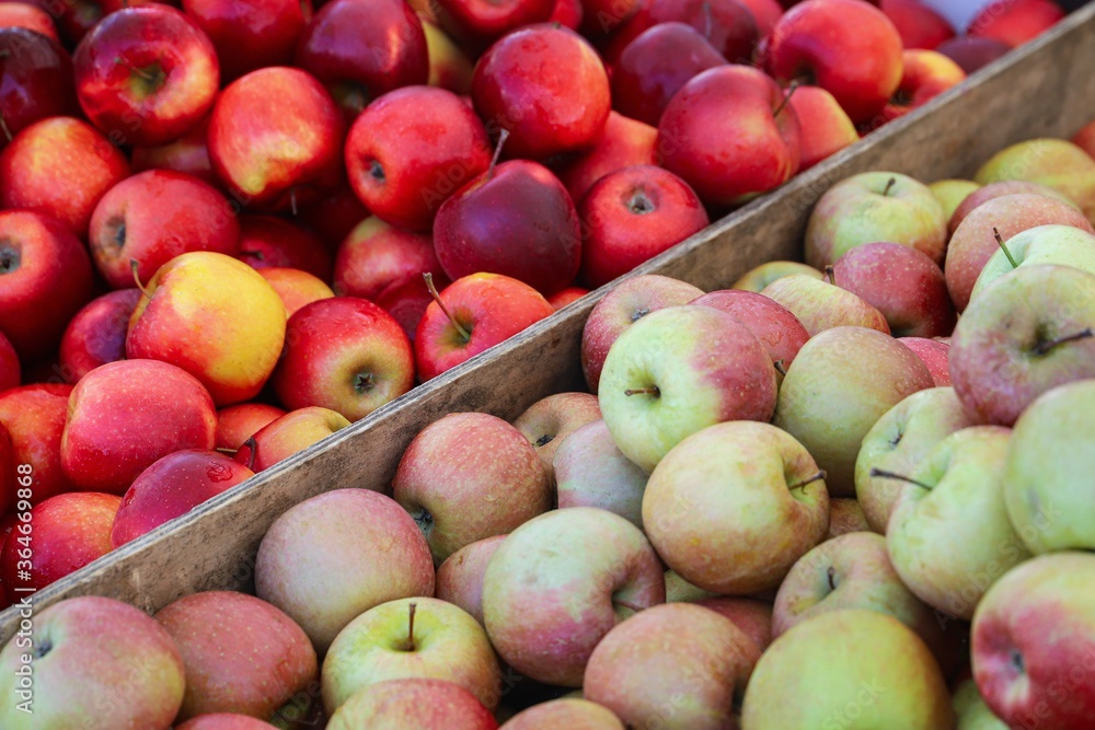 organically grown apples for sale at the market organically grown apples for sale at the market