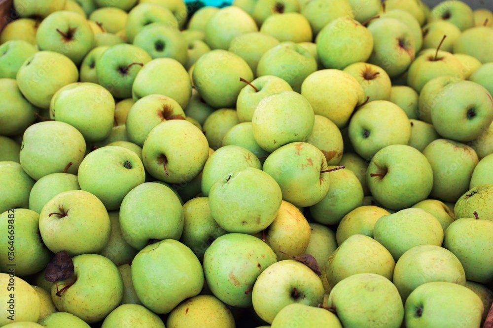 organically grown apples for sale at the market organically grown apples for sale at the market