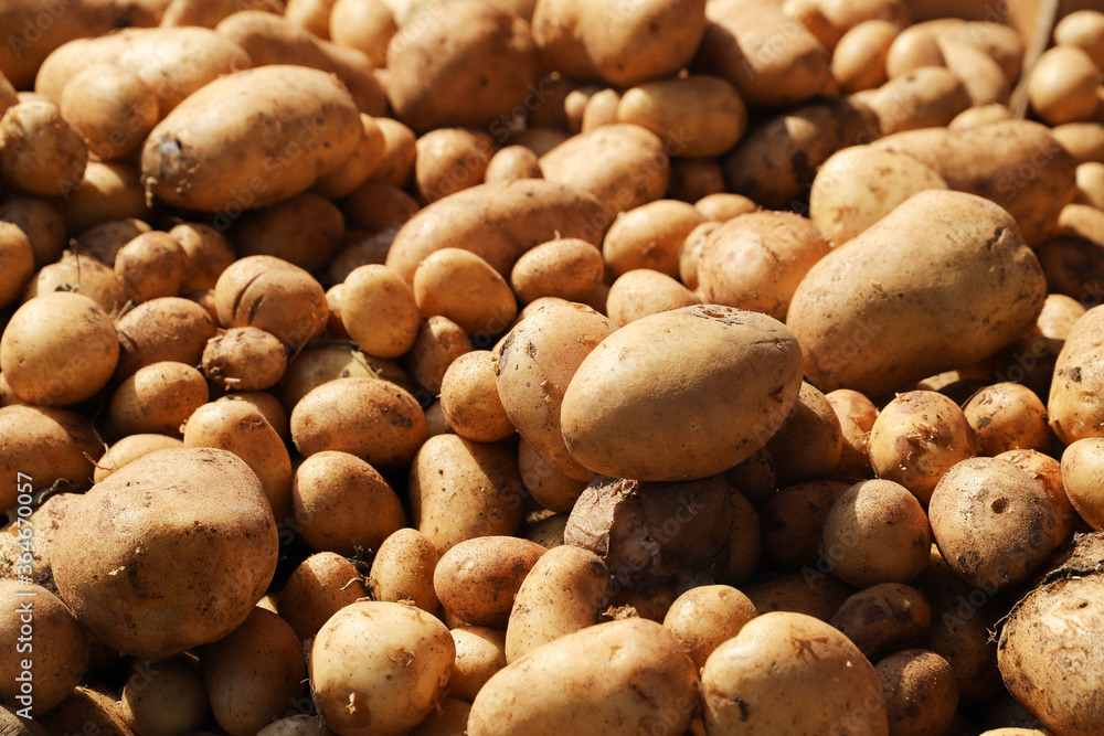 close up of potatoes on sale at the market close up of potatoes on sale at the market