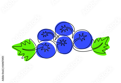 Continuous one line drawing of blueberries, organic orchard icon. Colorful berries fruitage concept for logo and posters isolated on white. Modern design vector illustration
