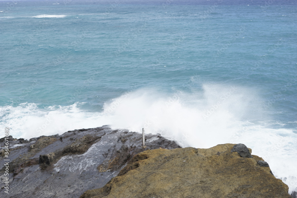 Fototapeta premium hawaii