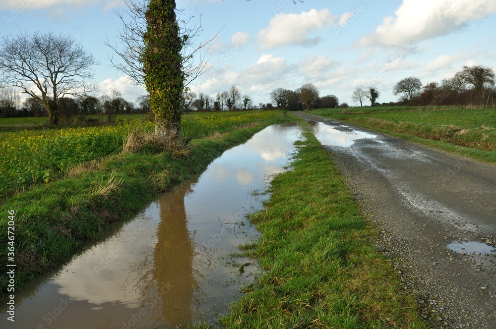 A flooded country lane in Brittany A flooded country lane in Brittany