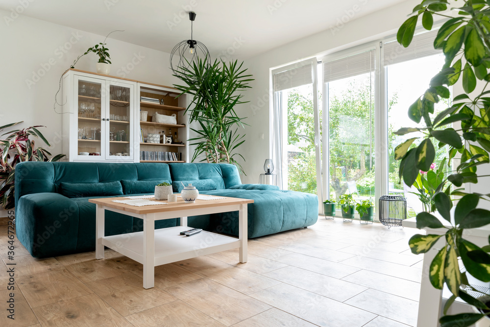 Fototapeta premium Comfortable interior of living room with design sofa, wooden floor, big window and plants. Room in hotel with space and scandinavian decoration. Houseplant in studio apartment.