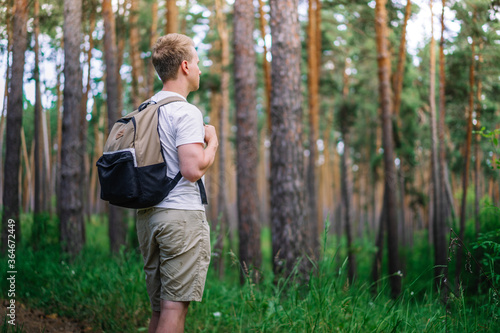 A back view of a male tourist with a backpack Hiking through a pine forest, a banner for a natural camp site and the concept of healthy tourism