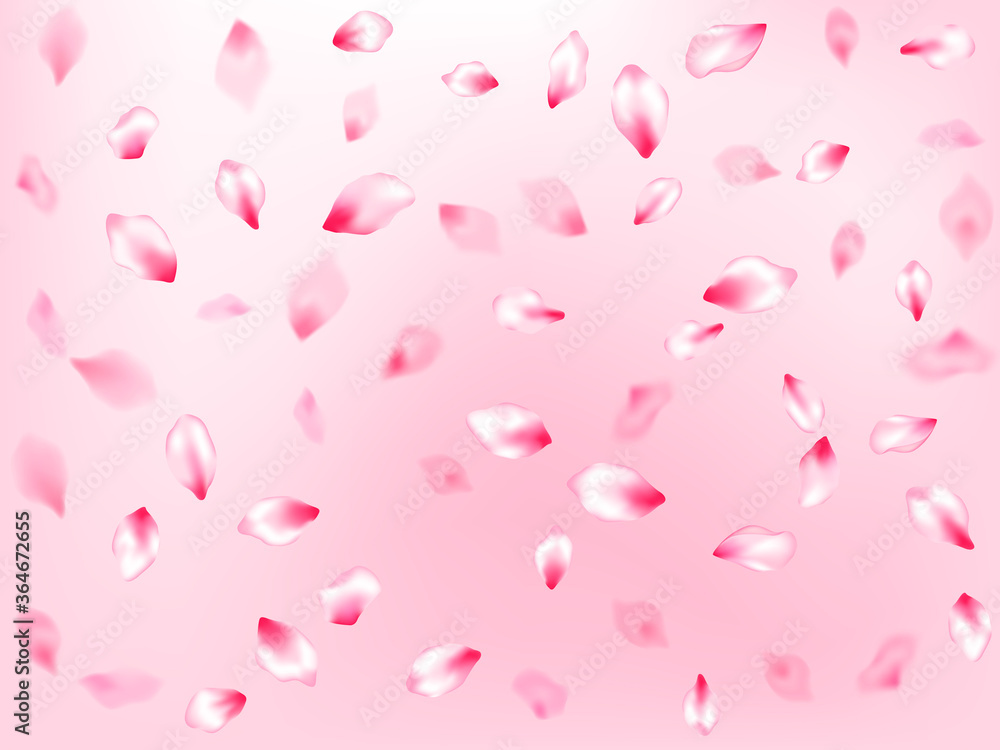 Pink cherry blossom petals isolated