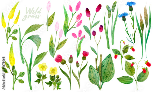 Composition of wild wildflowers. Buttercup, cornflower, wild grass, wild strawberry