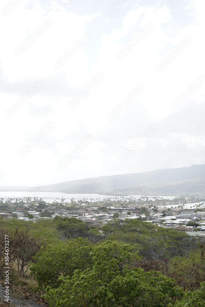 Fototapeta premium hawaii