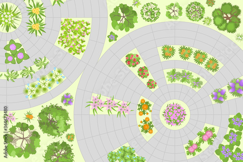 Landscape design. Top view. Path and flower beds. View from above.