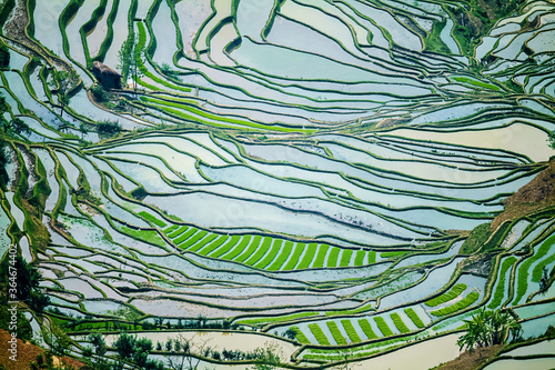 China - Yun Nan Province  : Aerial View Of The Terraced Field In China Yun Nan
