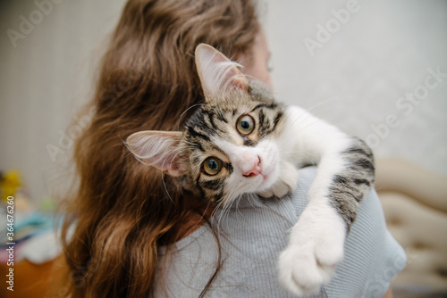 Young woman holding cat on hands. Girl with cat.