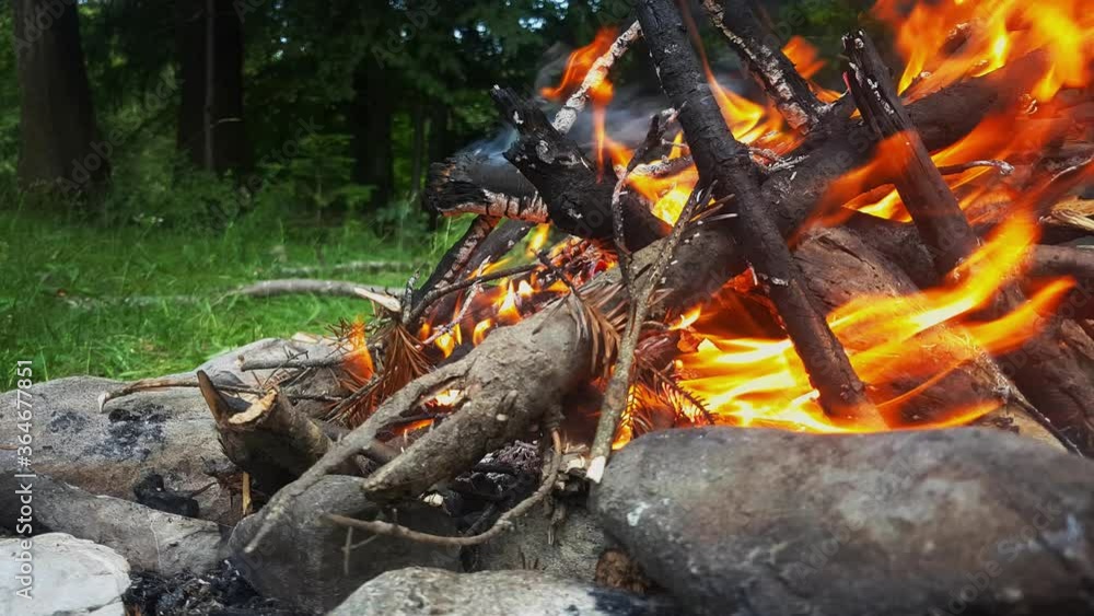 Close up of man made fire in the woods Close up of man made fire in the woods