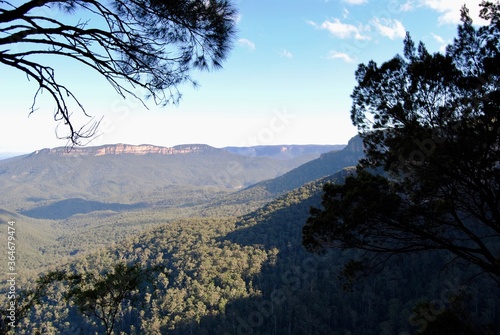 The landscape view of the cliffs and forest in the Blue Mountains, Australia