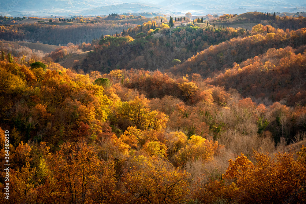 Tuscan hills in Autumn at the sunset, Tuscan landscape. Tuscany, Italy