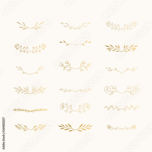 Collection of hand drawn botanical dividers and vines for wedding design. Vector isolated.