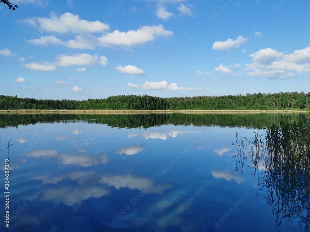 Piękny widok Polskiego jeziora  - obrazy, fototapety, plakaty 