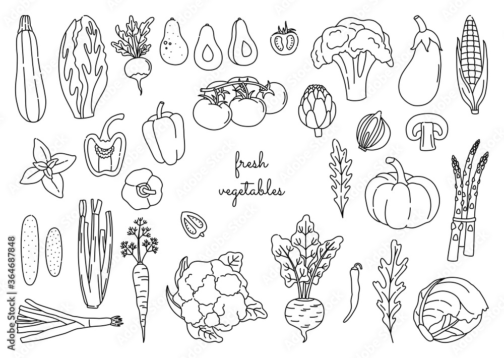 Set of outline vegetables on white background in doodle style. Bundle of hand drawn fresh vegetarian food, with black contour. Simple art objects. Vector illustration, isolated. 
