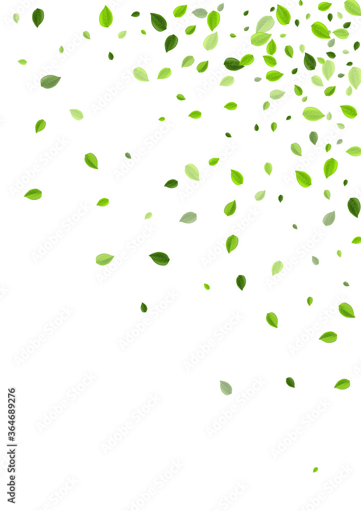 Green Leaves Tree Vector Background. Abstract Green Leaves Tree Vector Background. Abstract