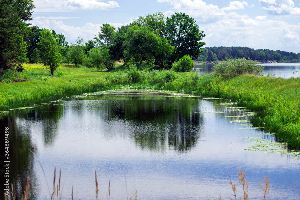 beautiful forest lake