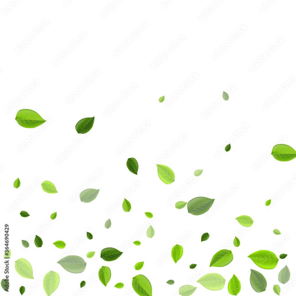 Swamp Leaves Motion Vector Concept. Swirl Foliage Swamp Leaves Motion Vector Concept. Swirl Foliage
