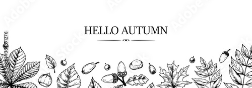 Hand drawn autumn horizontal banner with falling leaves, acorn and berries. Vector illustration in sketch style isolated on white. Space for text. Hello Autumn