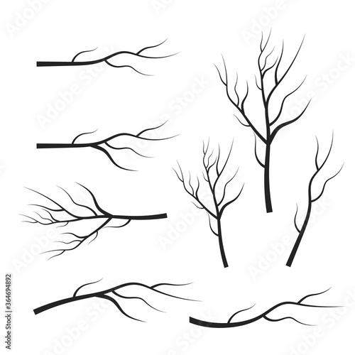 vector set dry tree branches. Leaves, swirls and floral elements