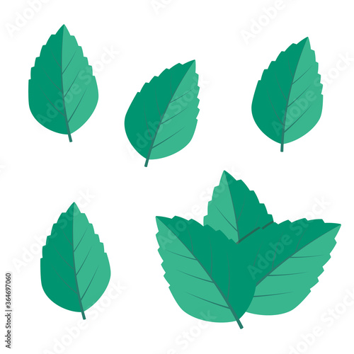 Mint green vector illustration set. Mint logo vector