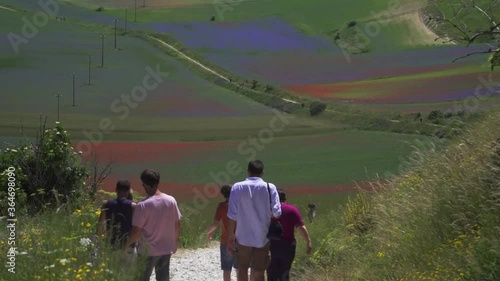 Fioritura di Castelluccio di Norcia