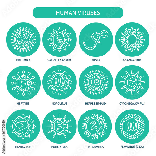 Human virus types icon set in thin line style