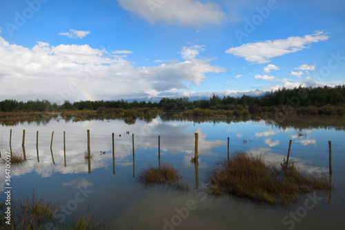 Flooded prairie  Pan-American Highway  Aysen Region  Patagonia  Chile