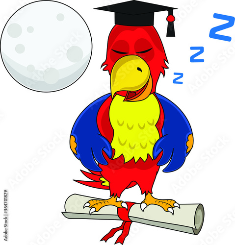 fun cartoon colorful parrot with education graduation hat standing on certificate roll sleeping offline moon behind