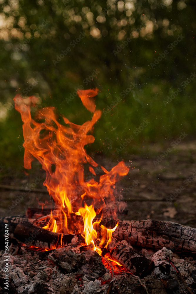 Burning wood at night. Bonfire in a tourist camp in nature in the mountains. Flames and fire sparks on a dark abstract background. Outdoor barbecue. The infernal element of fire. Fuel, power and energ Burning wood at night. Bonfire in a tourist camp in nature in the mountains. Flames and fire sparks on a dark abstract background. Outdoor barbecue. The infernal element of fire. Fuel, power and energ