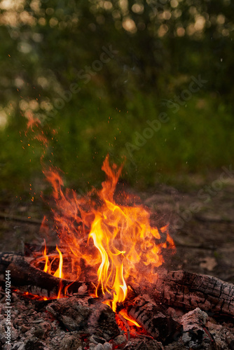 Burning wood at night. Bonfire in a tourist camp in nature in the mountains. Flames and fire sparks on a dark abstract background. Outdoor barbecue. The infernal element of fire. Fuel, power and energ