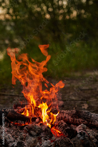 Burning wood at night. Bonfire in a tourist camp in nature in the mountains. Flames and fire sparks on a dark abstract background. Outdoor barbecue. The infernal element of fire. Fuel, power and energ