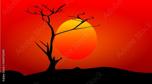 Fototapeta Naklejka Na Ścianę i Meble -  African landscape sunset