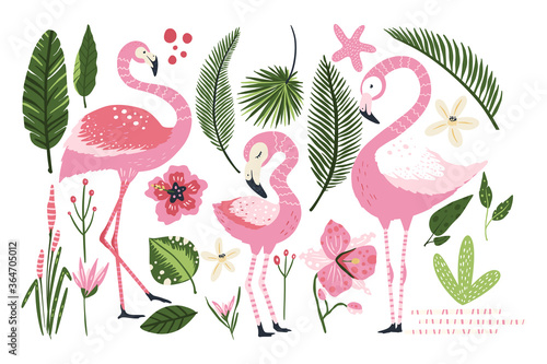 Flamingo vector cartoon animal set. Nature flowers leaves and wildlife bird collection. Pink fmily bird collection. Adult and kid tropical prints.