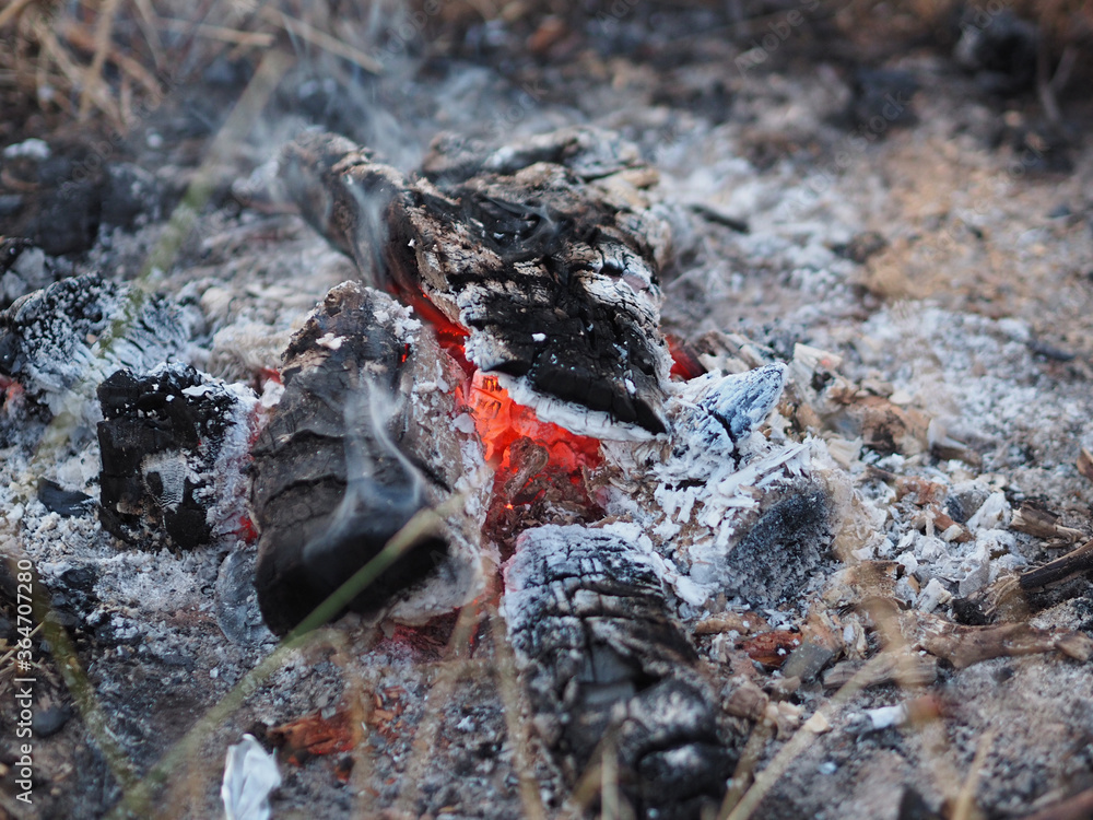 Burning coals in a fire. Evening, summer. Burning coals in a fire. Evening, summer.