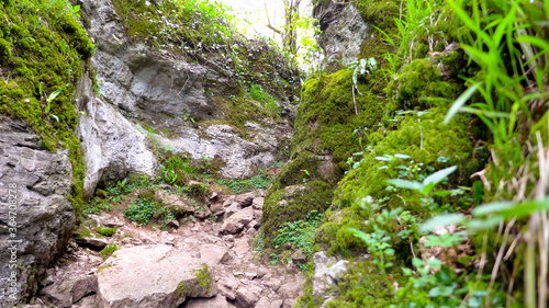 Rocky Footpath through a narrow canyon in the forest of Ebbor Gorge National Nature Reserve. Wookey Hole, Wells, UK