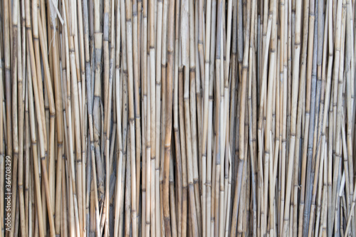 Wall of reeds texture background