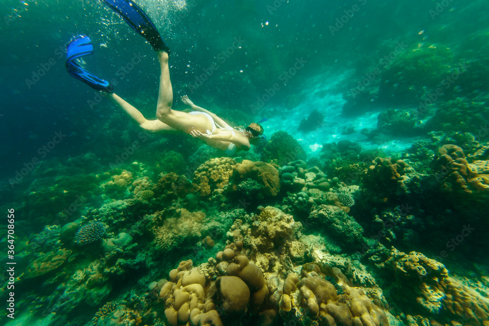 Girl snorkeling in white bikini swimming deep in coral reef of Surin Islands, Andaman Sea, North of Phuket, Phang Nga in Thailand. Ko Surin Marine National Park, underwater scene. Watersport activity. Girl snorkeling in white bikini swimming deep in coral reef of Surin Islands, Andaman Sea, North of Phuket, Phang Nga in Thailand. Ko Surin Marine National Park, underwater scene. Watersport activity.