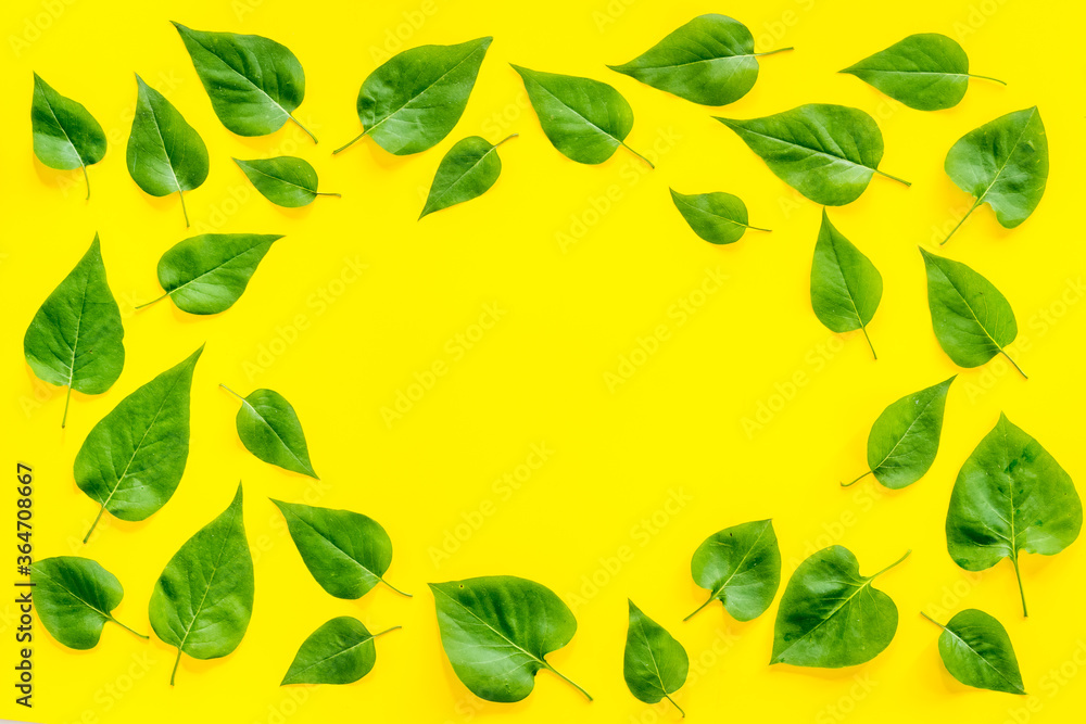 Top view frame of green leaves. Nature concept layout